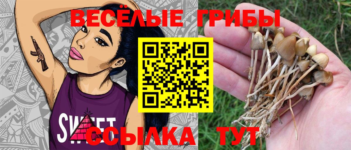 Красногорск  Галлюциногенные грибы мицелий  Вход с VPN  Псилоцибиновые грибы ЛСД 