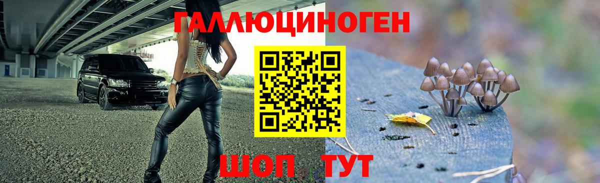 Псилоцибиновые грибы мицелий Красногорск